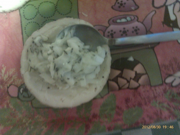 Bylinkový encián - obrázok 4