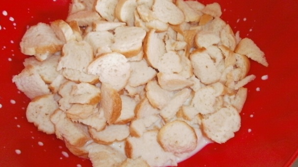 Hubník (fotorecept) - obrázok 2