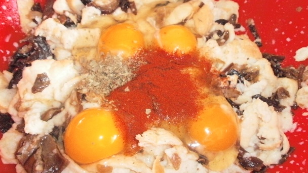 Hubník (fotorecept) - obrázok 3