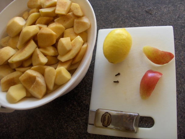 Veselé dulové kompóty - obrázok 1