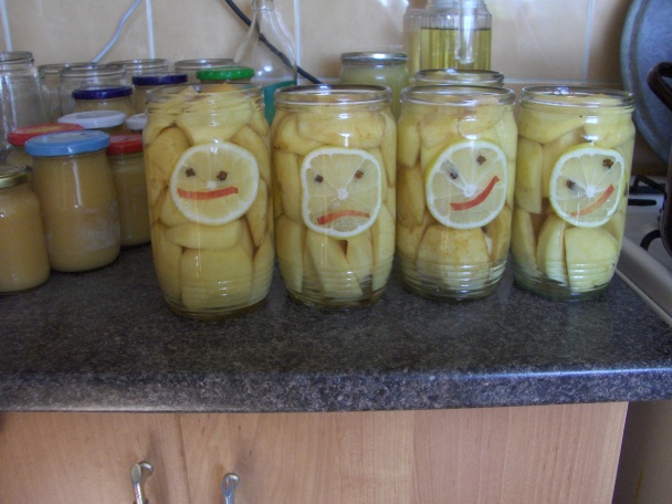 Veselé dulové kompóty - obrázok 4