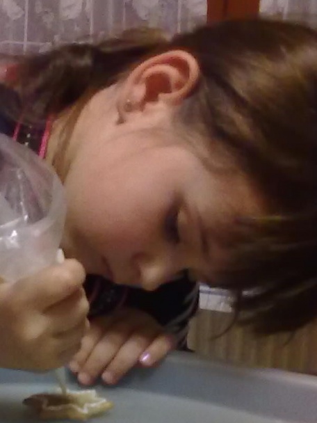 Medovníčky chalúpky a kostol fotorecept. - obrázok 6