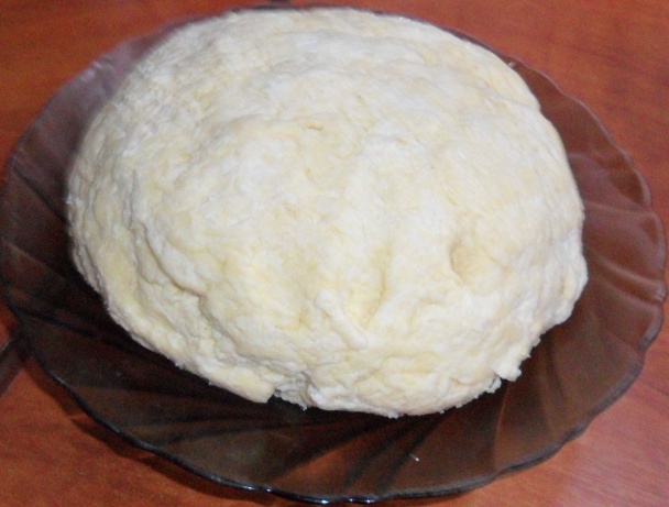 Slané slimáky (fotorecept) - obrázok 2