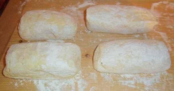 Slané slimáky (fotorecept) - obrázok 4