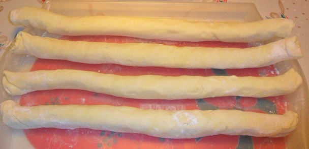 Slané slimáky (fotorecept) - obrázok 7