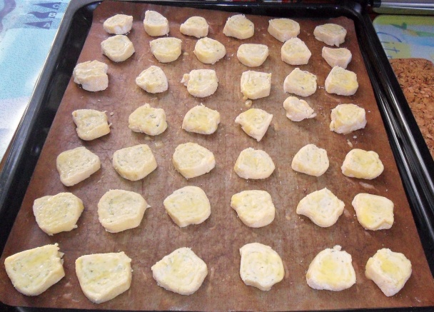 Slané slimáky (fotorecept) - obrázok 8