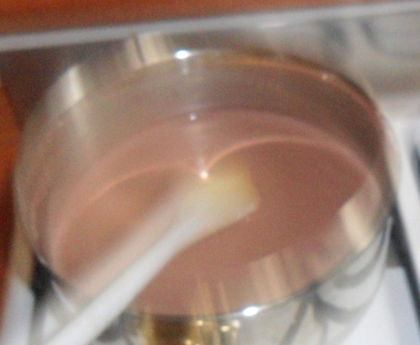 Farebné rezy - fotorecept - obrázok 3