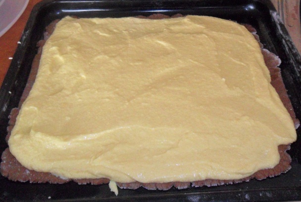 Farebné rezy - fotorecept - obrázok 11