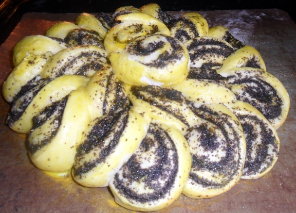 Makový kvet (fotorecept) - obrázok 12