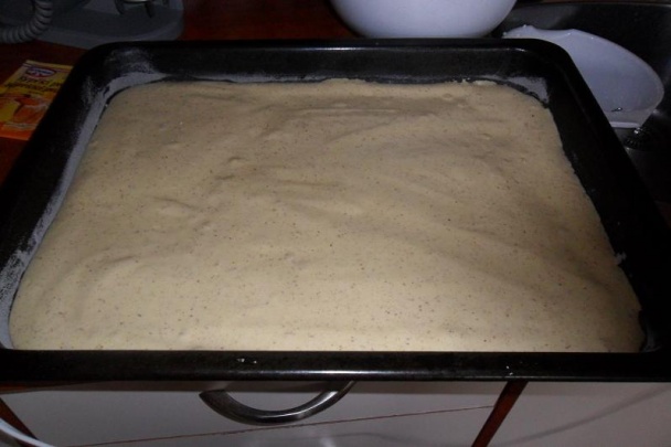 Semifreda (fotorecept) - obrázok 4