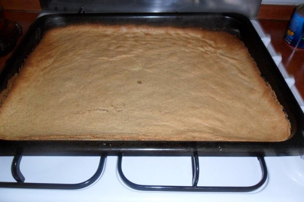 Semifreda (fotorecept) - obrázok 5