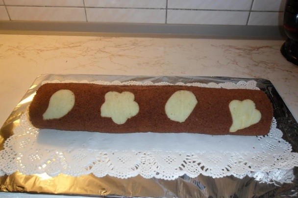 Semifreda (fotorecept) - obrázok 12