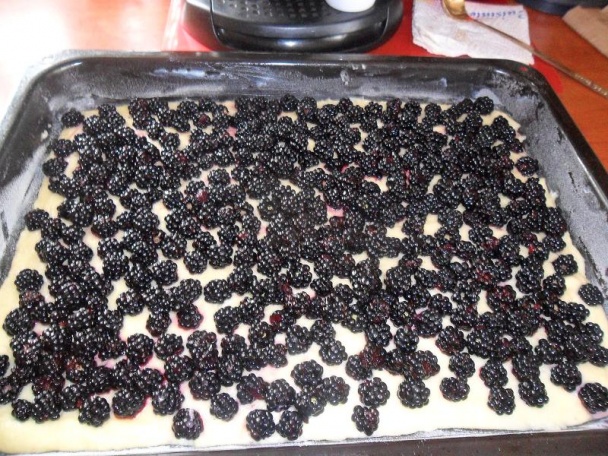 Bleskový a výborný černicový koláč (fotorecept) - obrázok 4