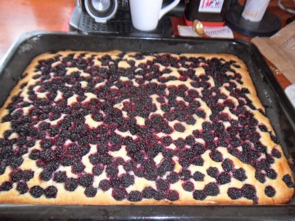 Bleskový a výborný černicový koláč (fotorecept) - obrázok 5