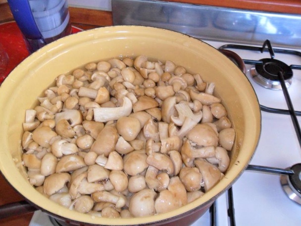 Májovky sterilizované (fotorecept) - obrázok 1