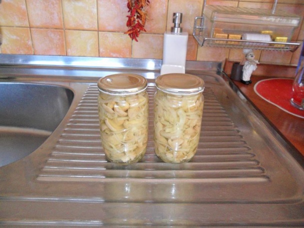 Májovky sterilizované (fotorecept) - obrázok 4