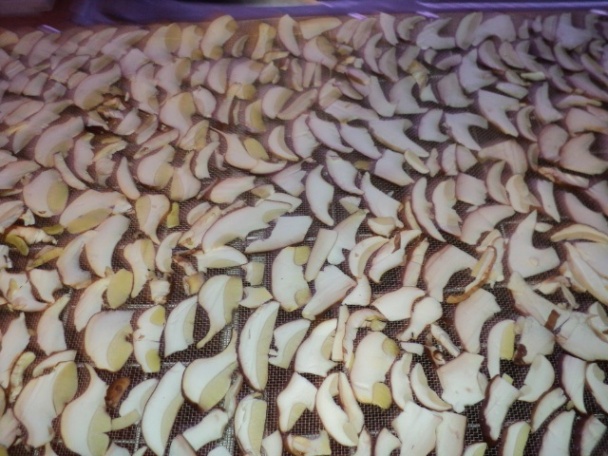 Dusenie dubákov do mrazničky (fotorecept) - obrázok 7