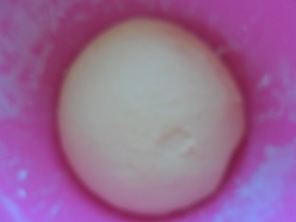 Rolovaný kysnutý makový koláč (fotorecept) - obrázok 2