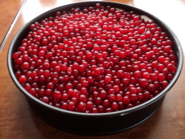 Ovocná tortička (fotorecept) - obrázok 2