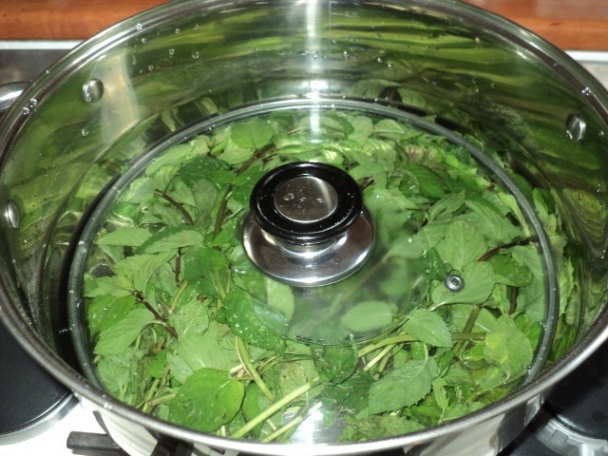 Mätový sirup (fotorecept) - obrázok 1