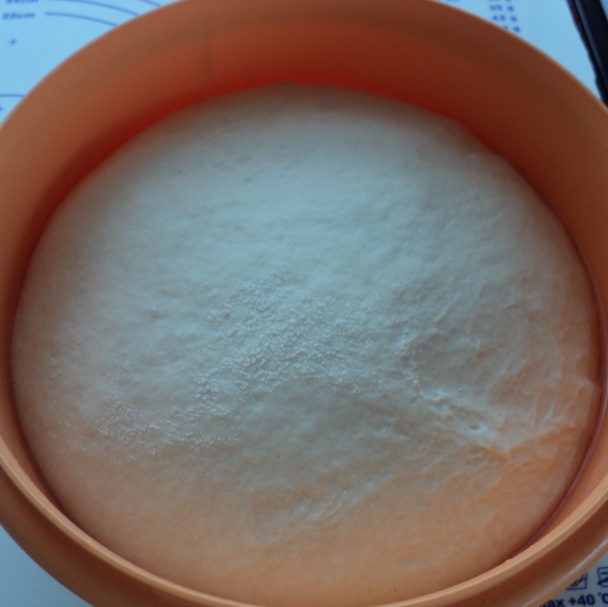 Chorvátsky slanec (fotorecept) - obrázok 4