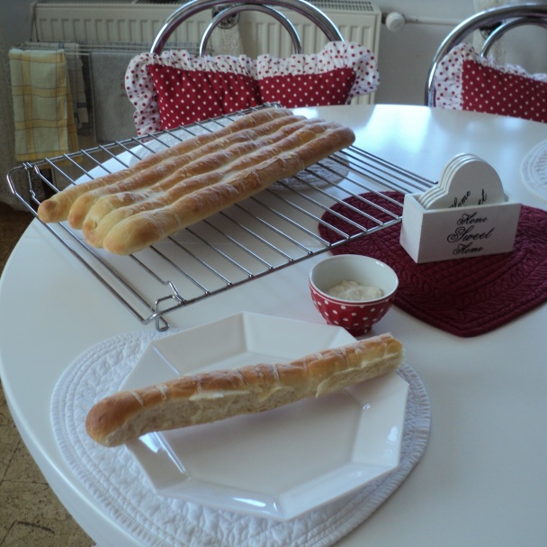 Chorvátsky slanec (fotorecept) - obrázok 12