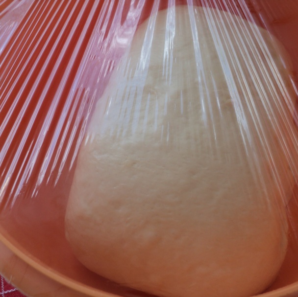 Focaccia v mojom prevedení (fotorecept) - obrázok 5