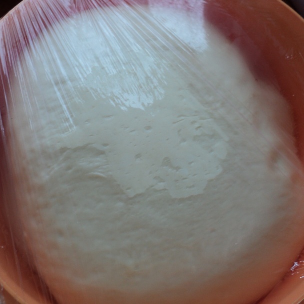 Focaccia v mojom prevedení (fotorecept) - obrázok 6