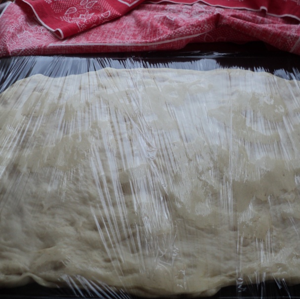 Focaccia v mojom prevedení (fotorecept) - obrázok 8