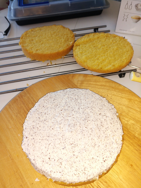 Narodeninová torta (fotorecept) - obrázok 5