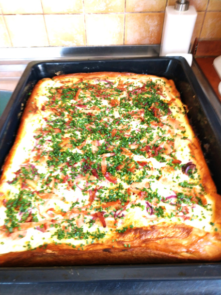 Podplamenník - obrázok 5