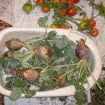 Kvaka - mliečna polievka - obrázok 4