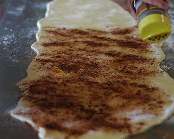 Škoricové kysnuté osie hniezda (fotorecept) - obrázok 4