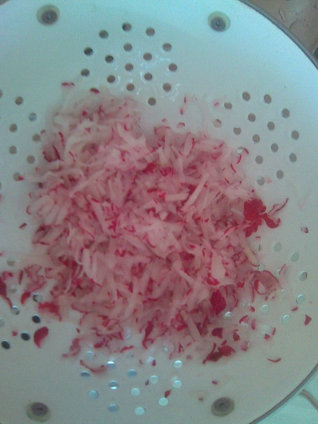 tvarohovo reďkovková nátierka (fotorecept) - obrázok 1