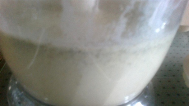 Šunkafliačky so syrom a s bylinkami (fotorecept) - obrázok 5