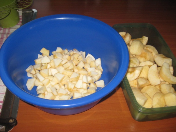 Jablčník (fotorecept) - obrázok 1