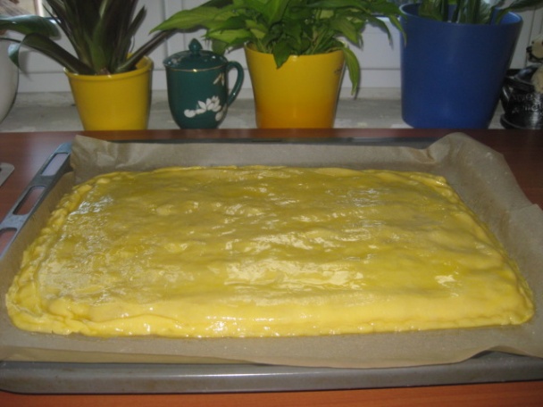 Jablčník (fotorecept) - obrázok 13