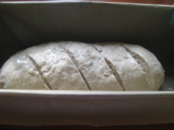 Pšenično-ražný chlebík (fotorecept) - obrázok 5