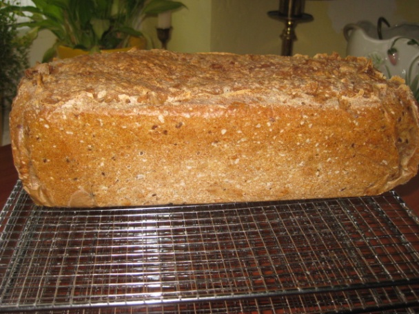 Chlebík celozrnný (fotorecept) - obrázok 5