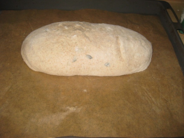 Celozrnný tekvicový chlebík (fotorecept) - obrázok 6