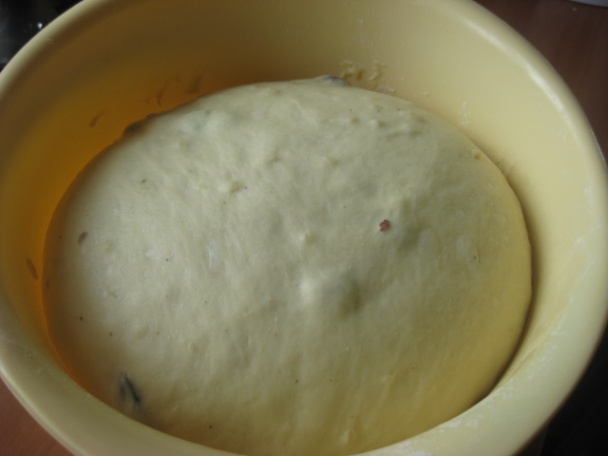 Raňajkový kvietok (fotorecept) - obrázok 5