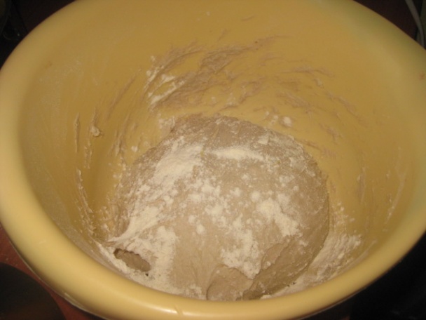 Slané bosniaky (fotorecept) - obrázok 1