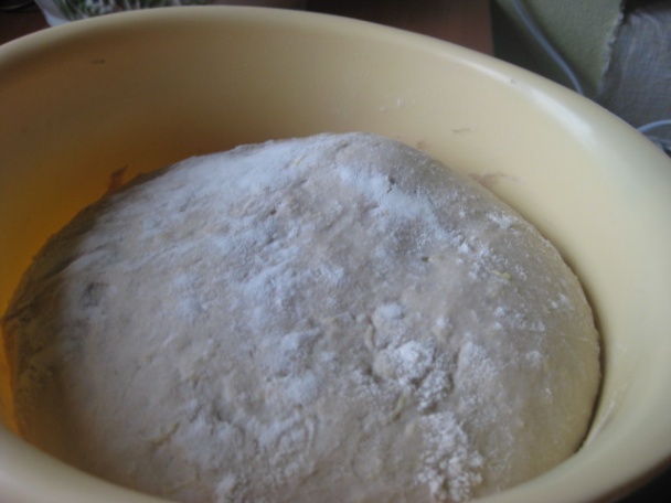 Slané bosniaky (fotorecept) - obrázok 2