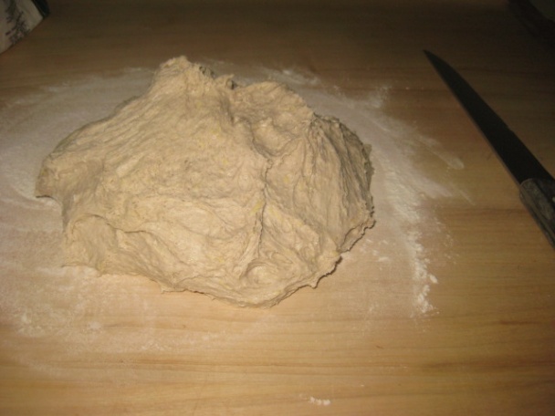 Slané bosniaky (fotorecept) - obrázok 3