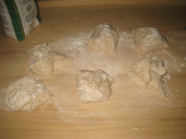 Slané bosniaky (fotorecept) - obrázok 4