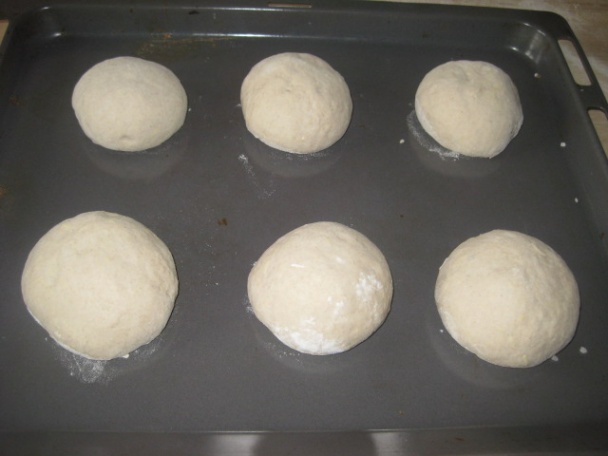 Slané bosniaky (fotorecept) - obrázok 6