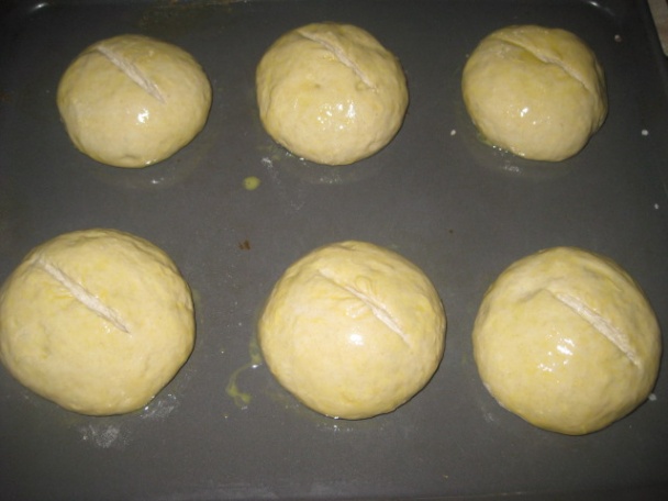 Slané bosniaky (fotorecept) - obrázok 7