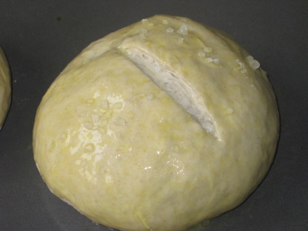 Slané bosniaky (fotorecept) - obrázok 8