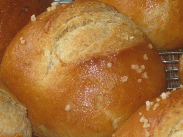 Slané bosniaky (fotorecept) - obrázok 11