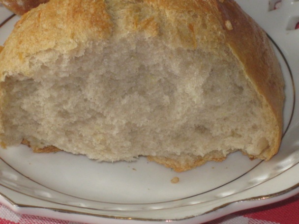 Slané bosniaky (fotorecept) - obrázok 12